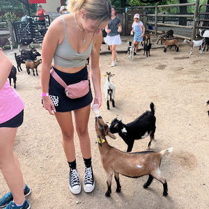 Meet your Posher, Molli